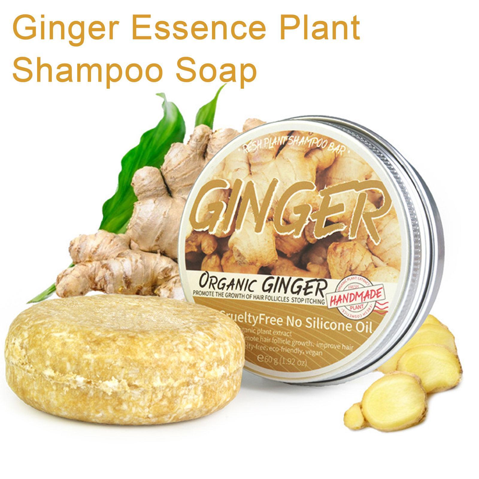 Ginger Polygonum Soap Shampoo  - Hair Care Pantene 评论和价格